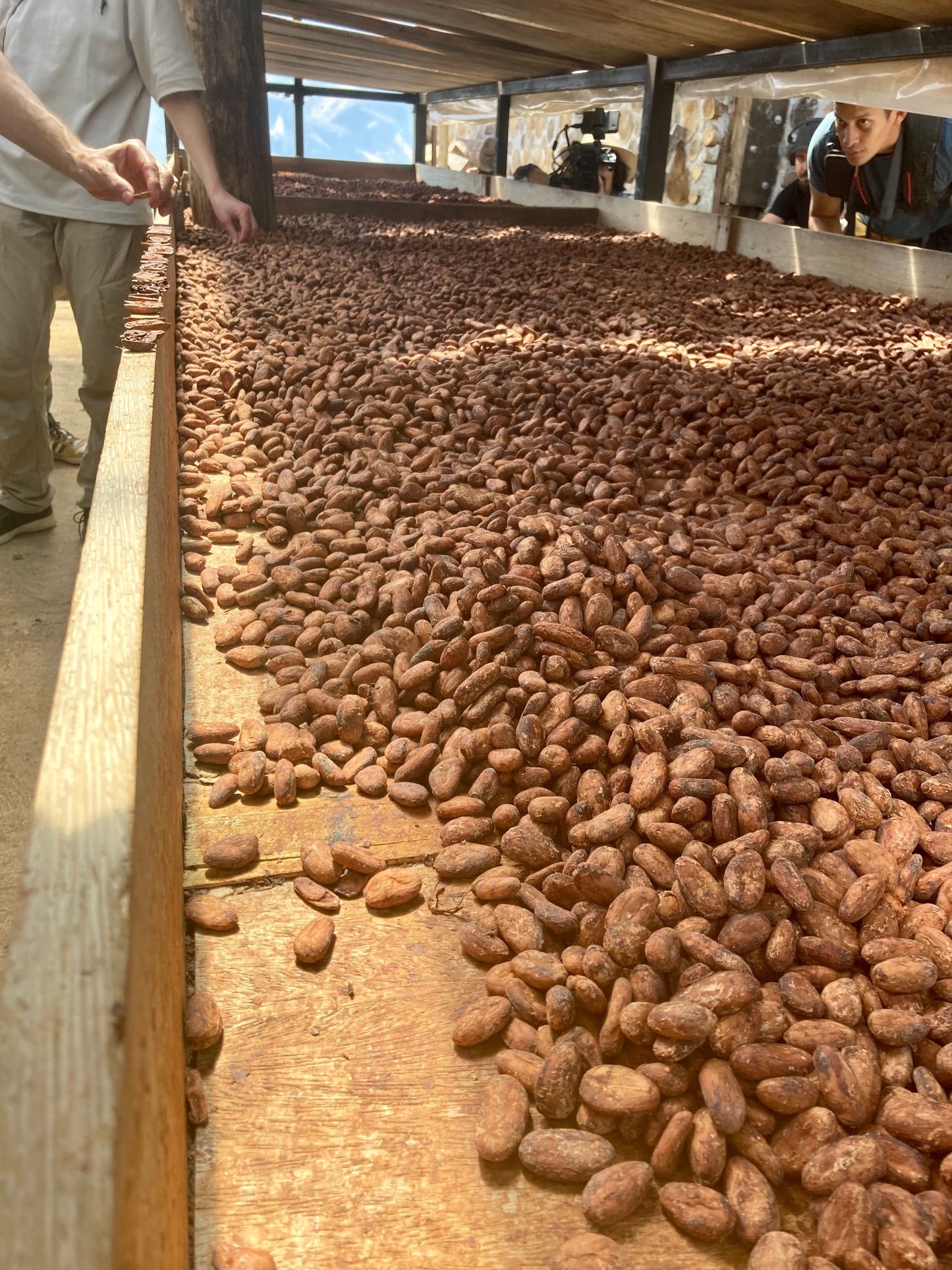 Finca Chiquihuat