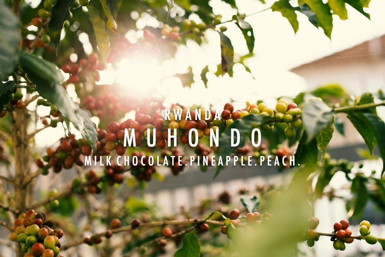 Rwanda - Muhondo