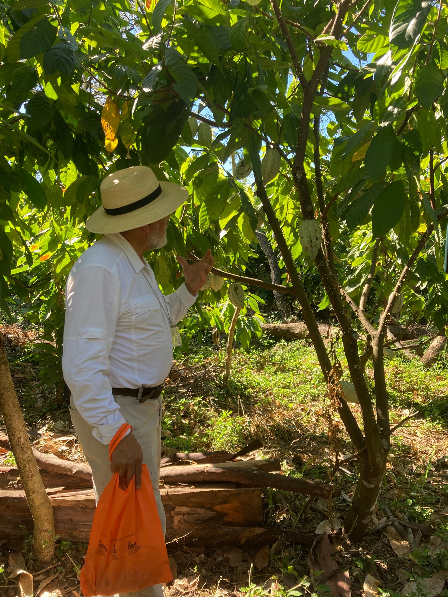 Finca Chiquihuat