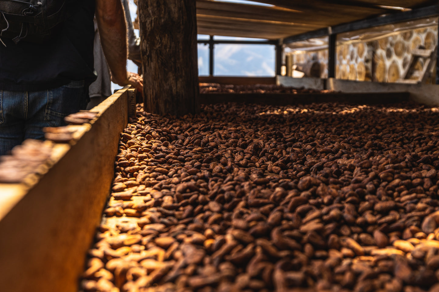 Finca Chiquihuat