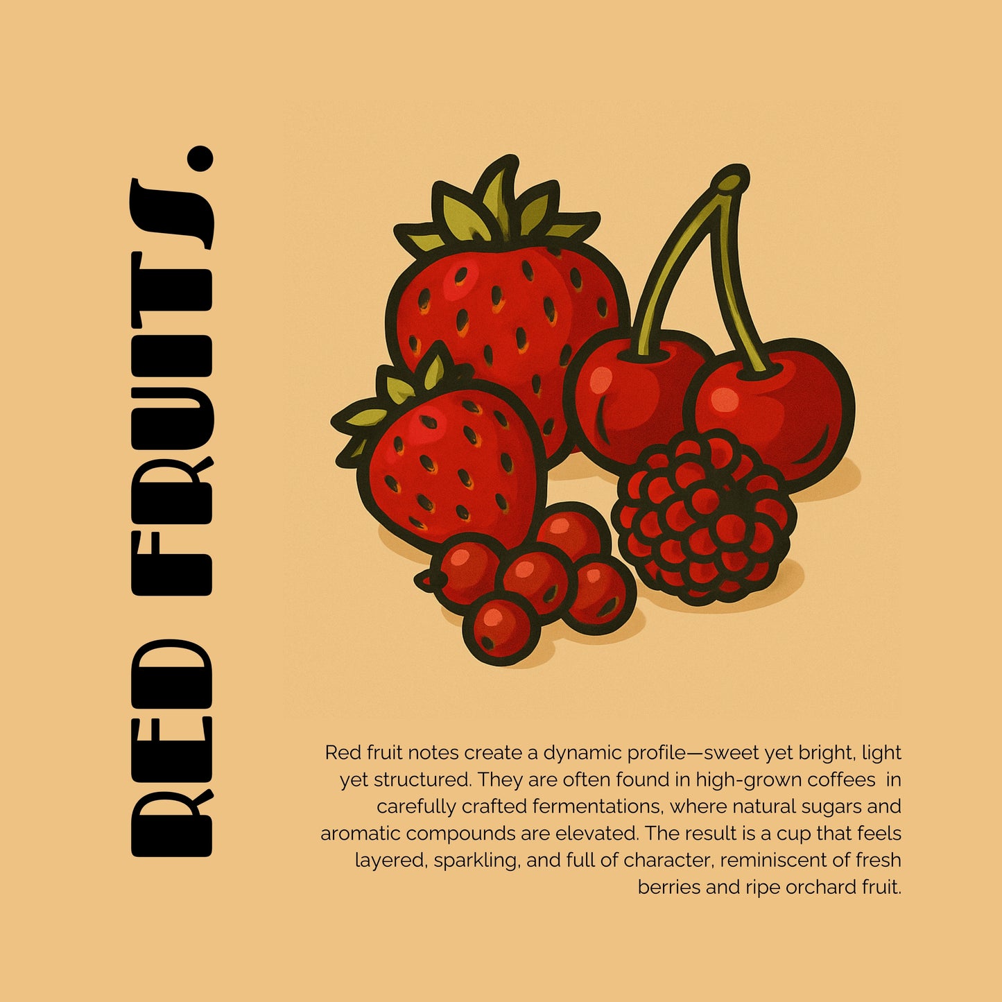 Colombia - La Loma Co-Fermented