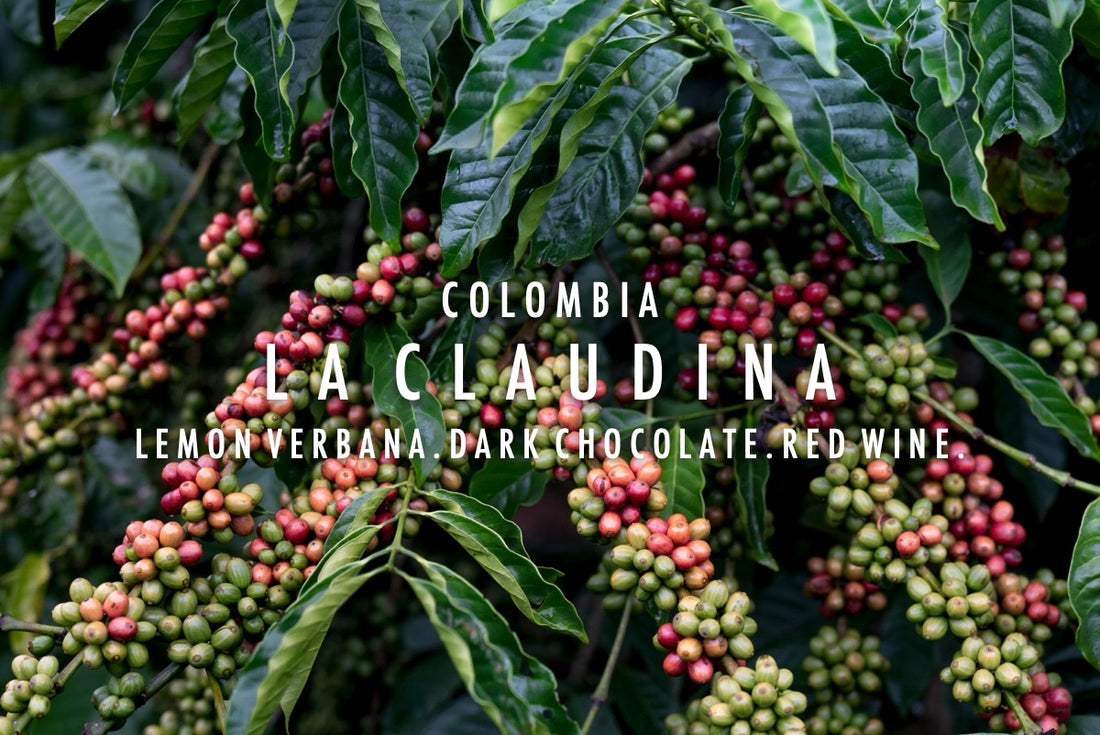 Colombia - La Claudina