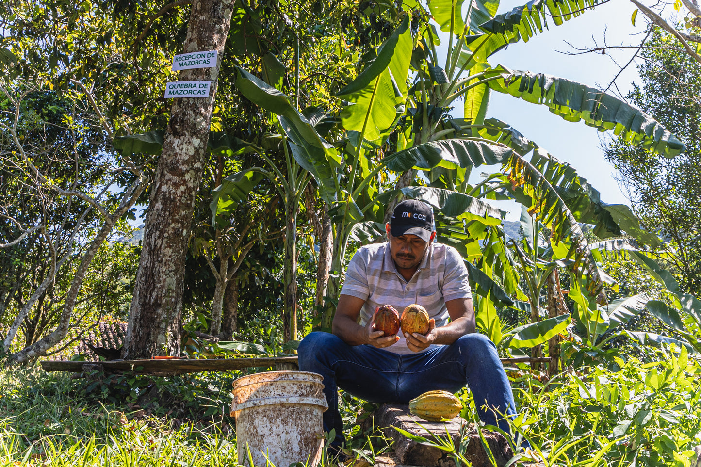 Cooperativa Cacahuatl