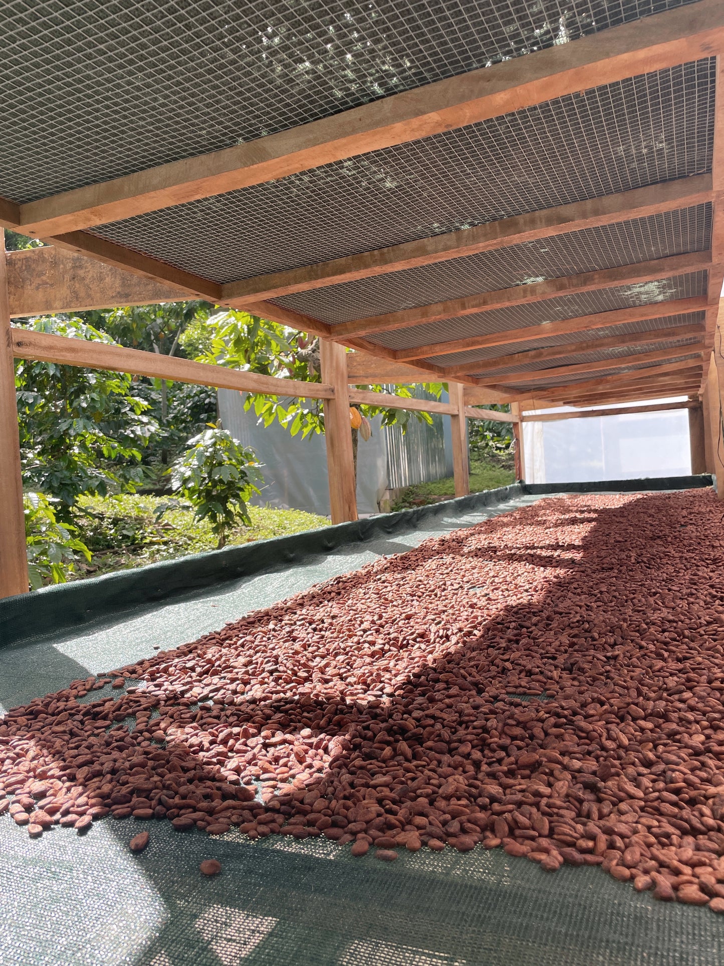Finca Los Angeles
