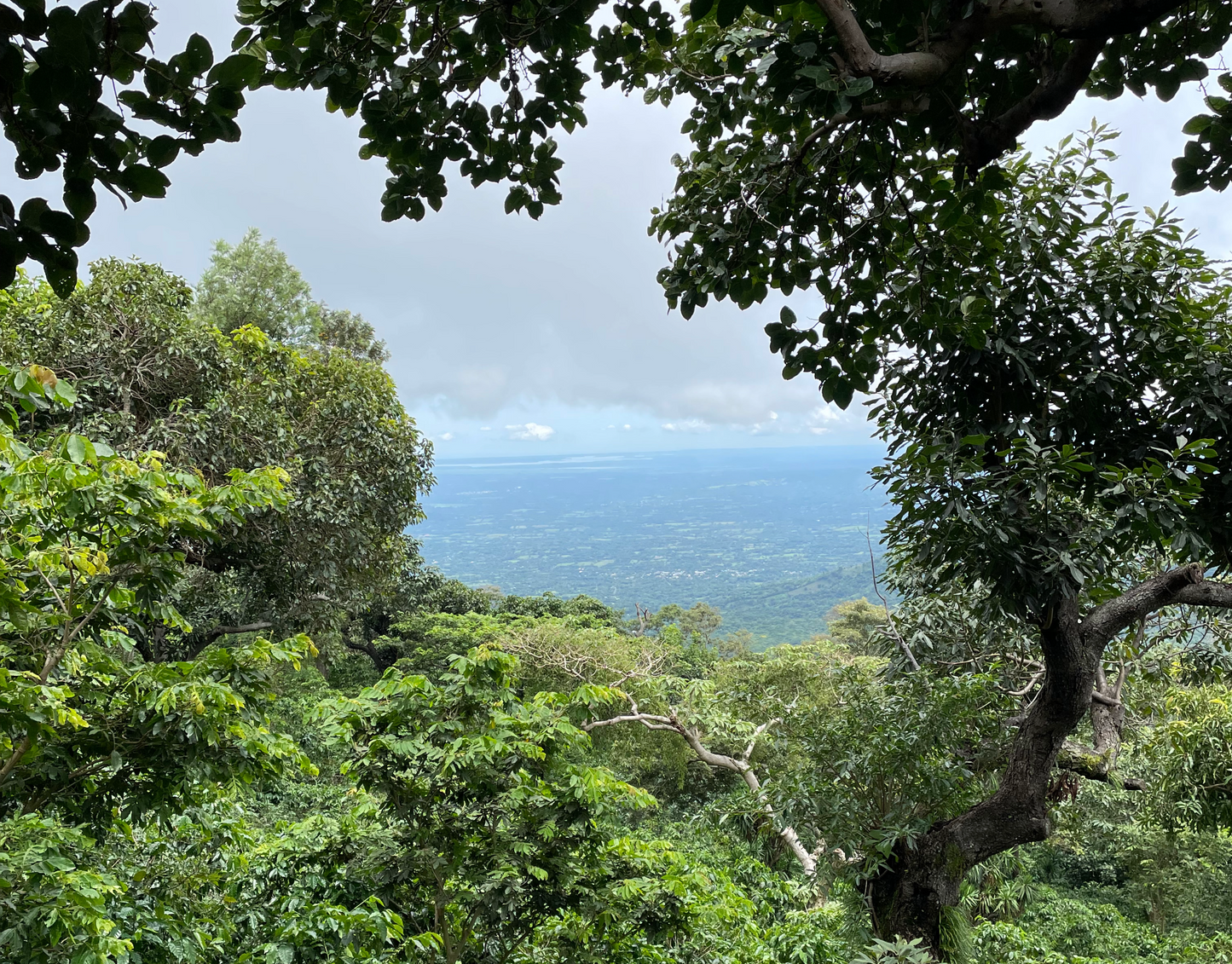 Finca La Catarina