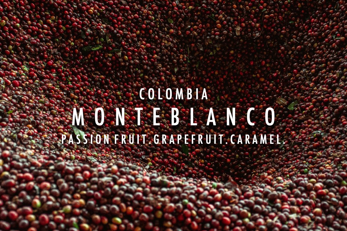 Colombia - Monteblanco Purple Caturra