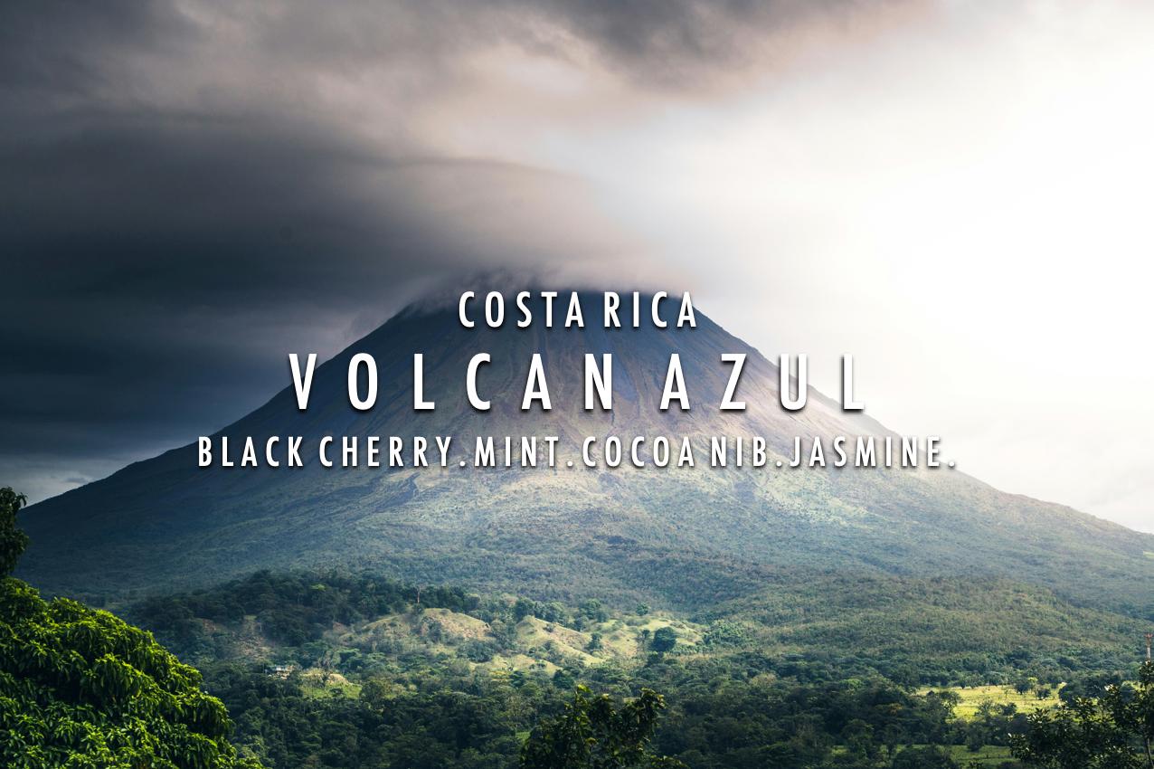 Costa Rica - Volcan Azul Geisha