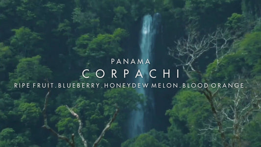Panama - Corpachi