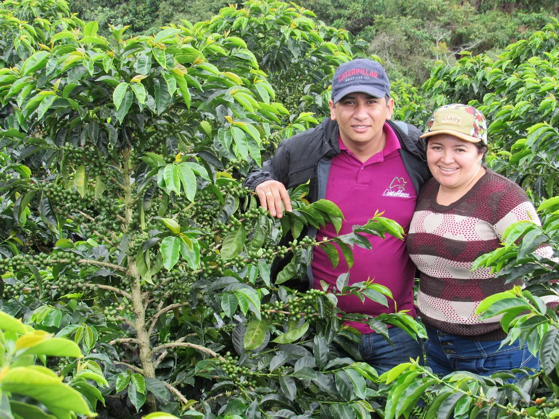 Colombia - La Loma WW